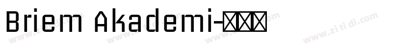 Briem Akademi字体转换
